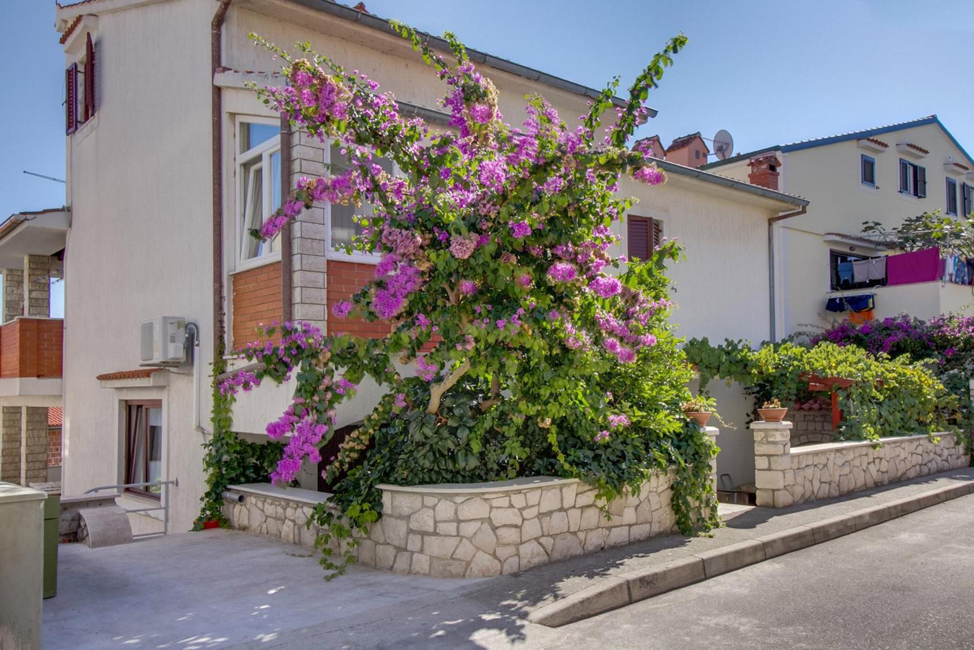 Suzana Apartment *